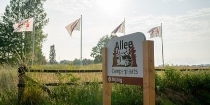 Reisemobilstellplatz - Art des Stellplatz: eigenständiger Stellplatz - Haarle - Camperplaats Allee