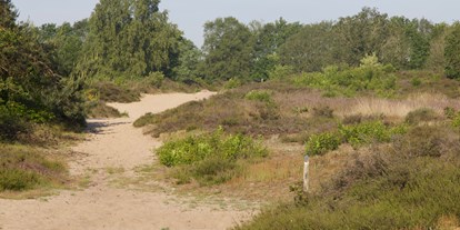 Reisemobilstellplatz - Umgebungsschwerpunkt: am Land - Drenthe - Camping Landgoed Borkerheide