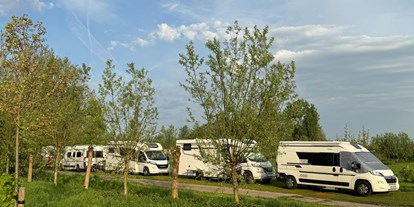 Reisemobilstellplatz - Umgebungsschwerpunkt: am Land - Niederlande - Camperplaats Buitenplaats Molenwei