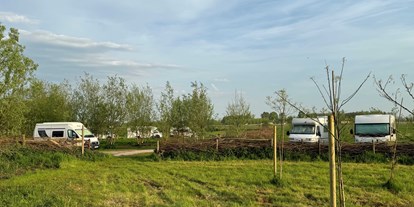 Reisemobilstellplatz - Umgebungsschwerpunkt: am Land - Niederlande - paved places - Camperplaats Buitenplaats Molenwei