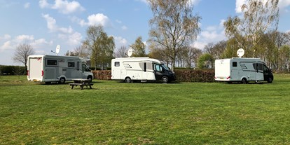 Motorhome parking space - Hunde erlaubt: Hunde erlaubt - Drenthe - Camping Pieterom