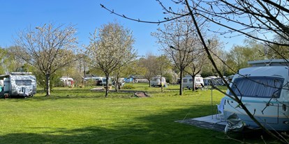 Motorhome parking space - Stromanschluss - Drenthe - Camping Pieterom