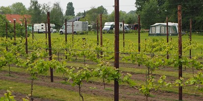 Motorhome parking space - Duschen - North Brabant - Wijnboerderij Winery & Herbs, camping