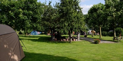 Motorhome parking space - WLAN: am ganzen Platz vorhanden - Drenthe - Camping Vorrelveen