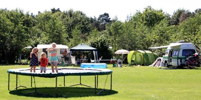Motorhome parking space - Drenthe - trampolines - Camping de Bosrand Spier