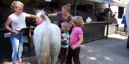 Reisemobilstellplatz - WLAN: teilweise vorhanden - Drenthe - pony's verzorgen - Camping de Bosrand Spier