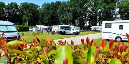 Reisemobilstellplatz - Art des Stellplatz: im Campingplatz - Veluwe - Recreatiepark Het Eperwoud
