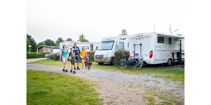 Motorhome parking space - Stromanschluss - South Holland - Camping 't Weergors