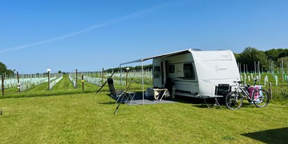 Motorhome parking space - Wohnwagen erlaubt - Nord Overijssel - Waterpeer aan de wijngaard - Camping De Toffe Peer