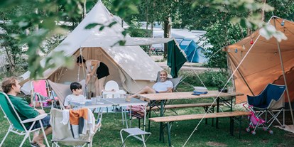 Reisemobilstellplatz - Hunde erlaubt: Hunde erlaubt - Drenthe - Camping Zwinderen