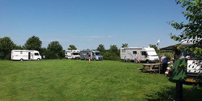 Motorhome parking space - Termunterzijl - Camping De Veenborg