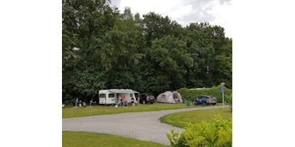 Motorhome parking space - Onstwedde - Zeer ruime kampeerplaatsen - Camping De Groene Valk