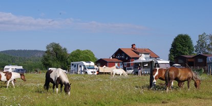Motorhome parking space - Stromanschluss - Sweden - Camping beside the horse fields - Sun Dance Ranch