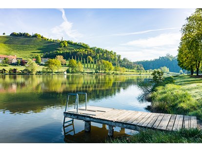 Reisemobilstellplatz - Umgebungsschwerpunkt: See - Kamnica - Ausblick zur Weinbauschule - Sulmsee Camping
