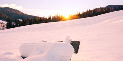 Reisemobilstellplatz - Umgebungsschwerpunkt: Berg - Österreich - Umgebung im Winter - Alpengasthaus Moser