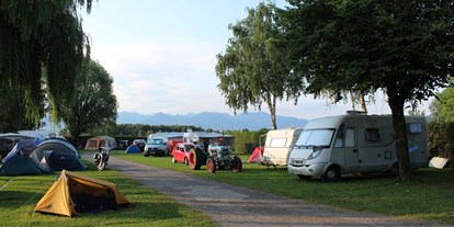 Motorhome parking space - Badestrand - Bodensee-Vorarlberg - Rohrspitz Yachting Salzmann e.U.