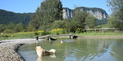 Reisemobilstellplatz - Bademöglichkeit für Hunde - Gösselsdorf - Camping Rosental Rož