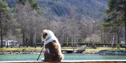 Reisemobilstellplatz - Bademöglichkeit für Hunde - Augsdorf (Velden am Wörther See) - Camping Rosental Rož