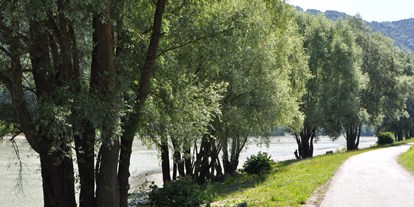 Reisemobilstellplatz - Umgebungsschwerpunkt: Fluss - Schwaben - Donau - Camping an der Donau