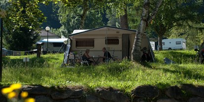 Reisemobilstellplatz - Bademöglichkeit für Hunde - Kärnten - Seecamping Berghof