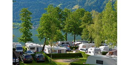 Motorhome parking space - Bademöglichkeit für Hunde - Faaker-/Ossiachersee - Seecamping Berghof