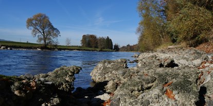 Reisemobilstellplatz - Umgebungsschwerpunkt: Fluss - Steinen (Steinen) - Adlerzart