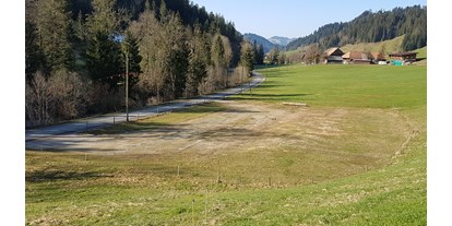 Reisemobilstellplatz - Wohnwagen erlaubt - Schweiz - Grosse freistehender Platz mit Sicht ins Grüne - Viehschauplatz Fankhaus