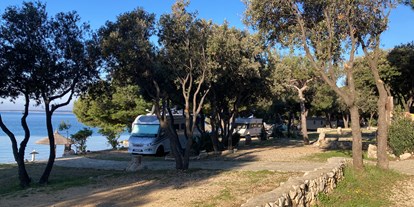 Motorhome parking space - Zadar - Wenig los - Camping Šimuni