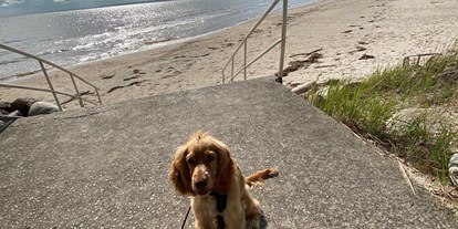 Reisemobilstellplatz - Valgeranna - Hunde sind am Strand nicht erlaubt🥲 - Doberani Rannamaja