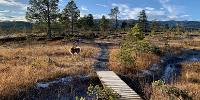 Reisemobilstellplatz - Bademöglichkeit für Hunde - Norwegen - Wanderweg - Høgkjølen Fjellcamp