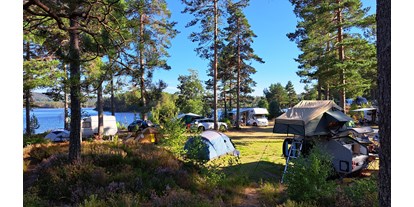 Reisemobilstellplatz - Bademöglichkeit für Hunde - Norwegen - Kilefjorden Camping