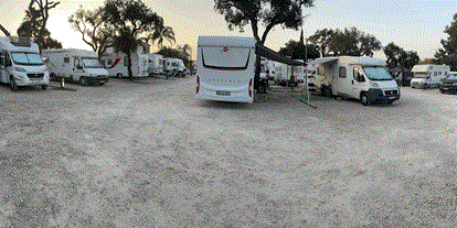 Reisemobilstellplatz - WLAN: am ganzen Platz vorhanden - Algarve - Faro Campervan Park