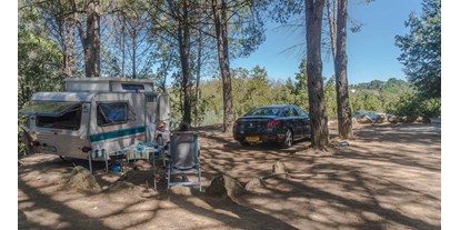 Reisemobilstellplatz - WLAN: nur um die Rezeption vorhanden - Nabainhos - SVR Camping Toca da Raposa