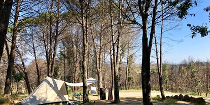 Reisemobilstellplatz - Umgebungsschwerpunkt: am Land - Portugal - SVR Camping Toca da Raposa