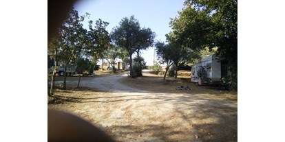 Motorhome parking space - Portugal - SVR Camping Toca da Raposa