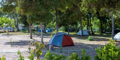Reisemobilstellplatz - Art des Stellplatz: im Campingplatz - Portugal - Orbitur Mira