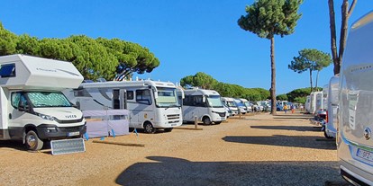 Motorhome parking space - Art des Stellplatz: eigenständiger Stellplatz - Portugal - Algarve Motorhome Park Falesia - Algarve Motorhome Park Falésia