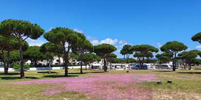 Reisemobilstellplatz - Entsorgung Toilettenkassette - Albufeira - Algarve Motorhome Park Falesia - Algarve Motorhome Park Falésia