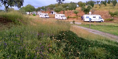 Reisemobilstellplatz - WLAN: am ganzen Platz vorhanden - Região do Alentejo - Camping Serro da Bica