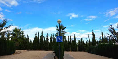 Motorhome parking space - Hunde erlaubt: Hunde erlaubt - Costa del Azahar - ... Stellplätze für Personen mit Handicap sind ebenfalls vorhanden. - Los Olivos de Xivert CampingNatura Park