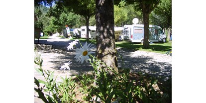 Motorhome parking space - WLAN: nur um die Rezeption vorhanden - Spain - Zona acampada - SOL I NEU