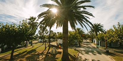 Reisemobilstellplatz - Wohnwagen erlaubt - Costa Daurada - Camping Las Palmeras