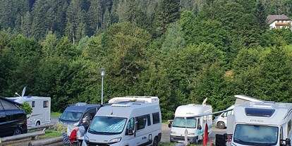 Motorhome parking space - Grauwasserentsorgung - Schwarzwald - Wohnmobilstellplatz an der Wehra / Todtmoos
