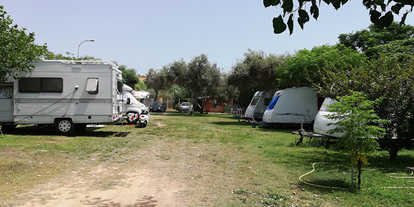 Motorhome parking space - Bademöglichkeit für Hunde - Italy - Camping Flintstones Park
