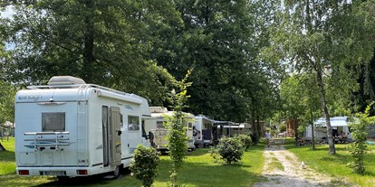Motorhome parking space - Bademöglichkeit für Hunde - Piedmont - Camping Eden