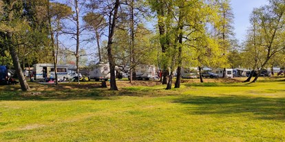 Motorhome parking space - SUP Möglichkeit - Piedmont - Camping Eden