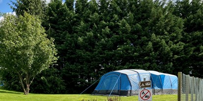 Reisemobilstellplatz - Art des Stellplatz: im Campingplatz - Großbritannien - Red Deer Village Holiday Park