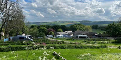 Motorhome parking space - Great Britain - Dale Farm Rural Campsite