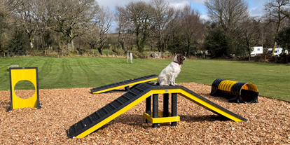 Reisemobilstellplatz - Hunde erlaubt: Hunde erlaubt - Großbritannien - Woodland Springs Touring Park