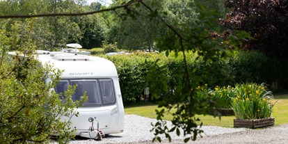 Motorhome parking space - South West England - Woodland Springs Touring Park